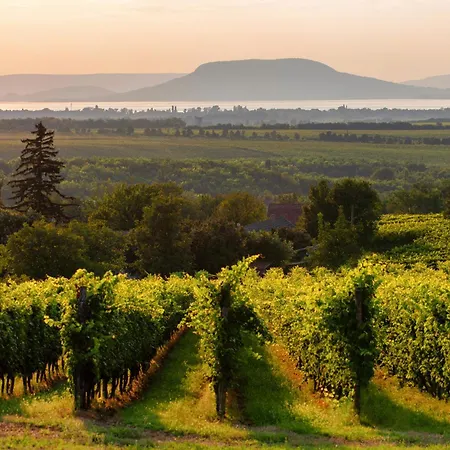 Апартаменты In - Balaton 18180 *