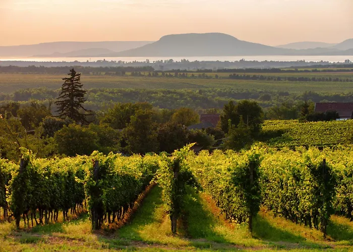 דירה In - Balaton 18180 *